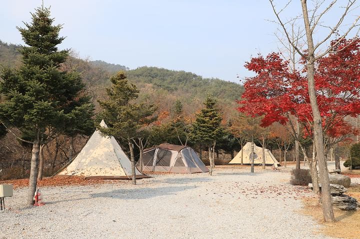 프라임캠핑장 캠핑장 · GoCamping 제공