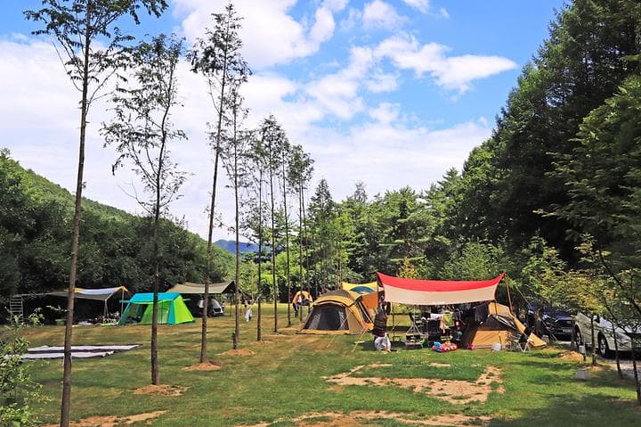 피노키오숲 자연휴양림 야영장 캠핑장 · GoCamping 제공