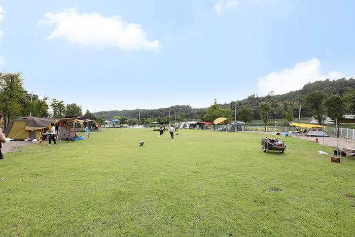피플앤독 힐링캠핑장 캠핑장 · GoCamping 제공
