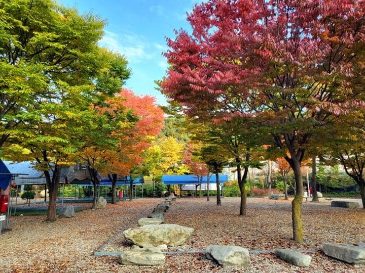 하오재캠핑장 캠핑장 · GoCamping 제공