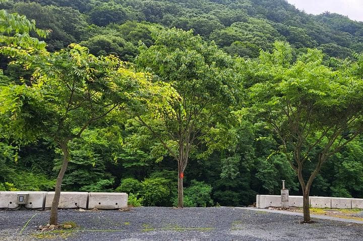 하옥 가람캠핑장 캠핑장 · GoCamping 제공