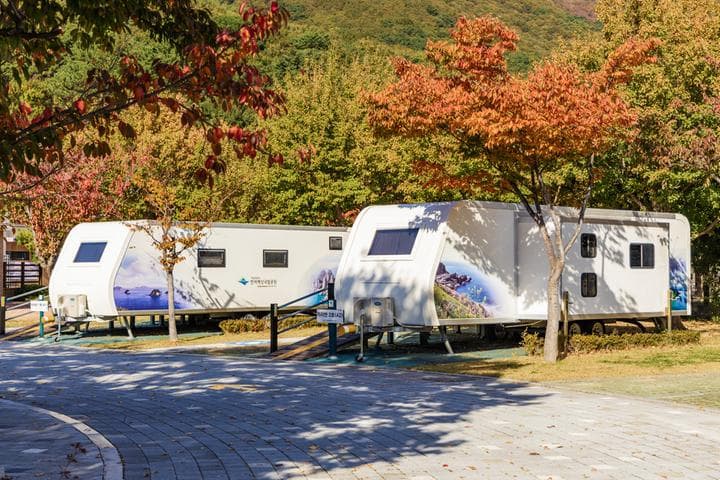 학동자동차 야영장 캠핑장 · GoCamping 제공