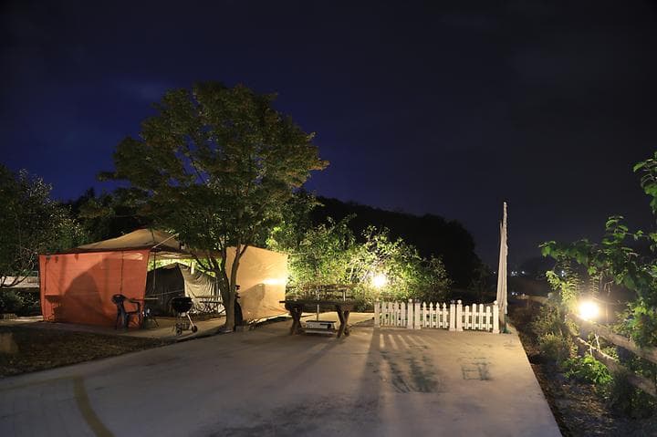 한탄강 소나무 캠핑 캠핑장 · GoCamping 제공