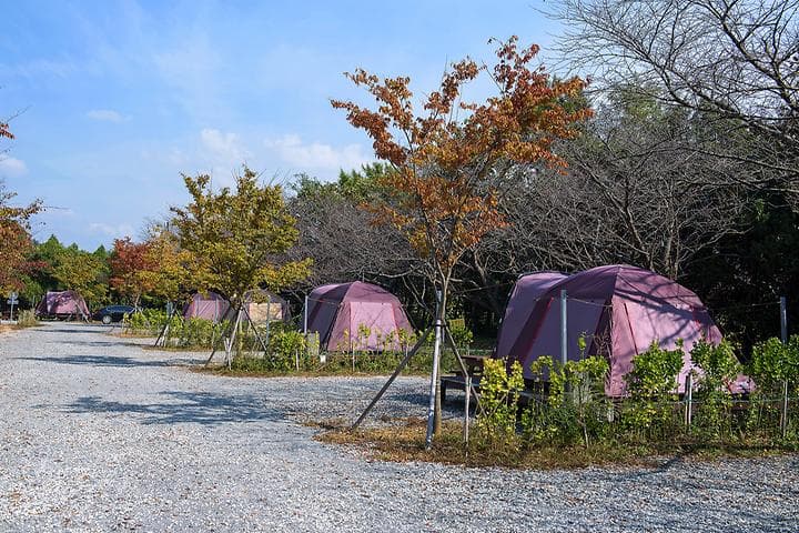 함평나비마을 서울캠핑장 캠핑장 · GoCamping 제공