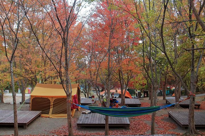 함허동천야영장 캠핑장 · GoCamping 제공