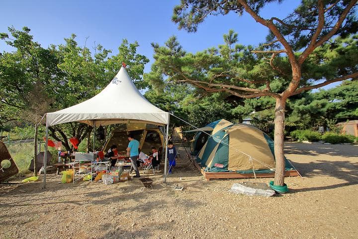 해솔길캠핑장 캠핑장 · GoCamping 제공