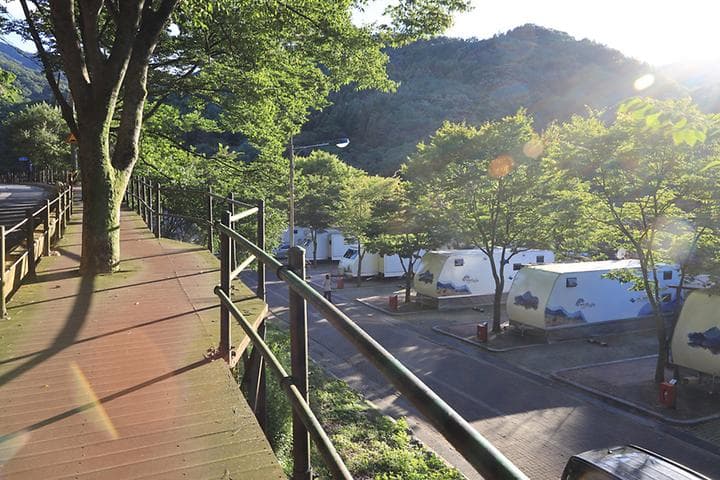 구룡자동차야영장(치악산국립공원) 캠핑장 · GoCamping 제공