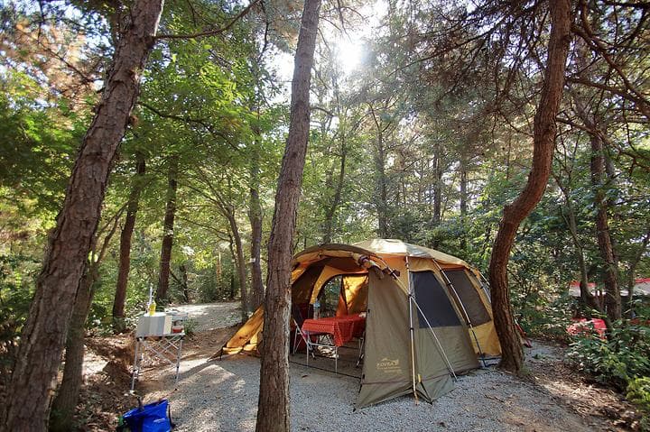 호수산장 관광농원 캠핑장 · GoCamping 제공