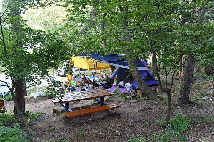화왕산자연휴양림 캠핑장 · GoCamping 제공