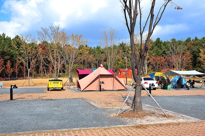 황방산생태야영장 캠핑장 · GoCamping 제공