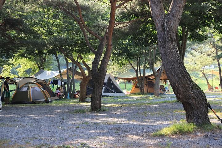 영월키즈캠핑장 캠핑장 · GoCamping 제공