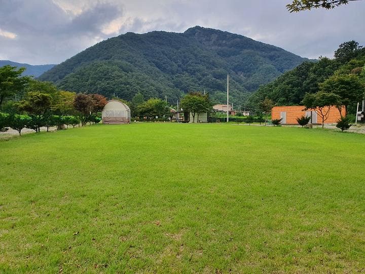 동상 힐링 캠핑장 캠핑장 · GoCamping 제공