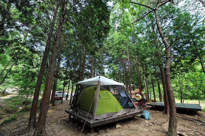국립남해편백자연휴양림 캠핑장 · GoCamping 제공