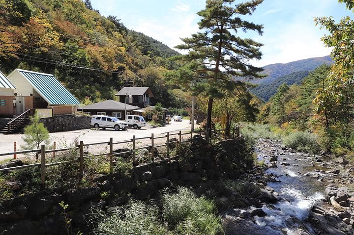 국립자연휴양림관리소 두타산자연휴양림 캠핑장 · GoCamping 제공