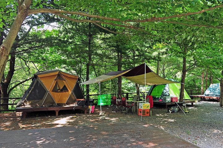 국립천관산자연휴양림 캠핑장 · GoCamping 제공