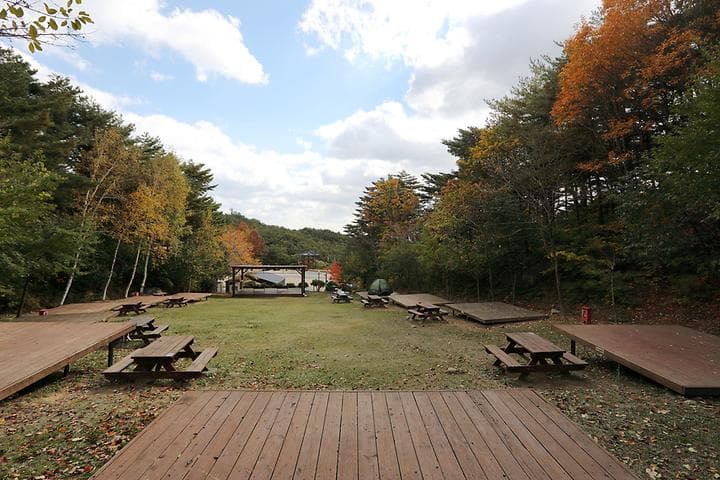 칠보산자연휴양림야영장 캠핑장 · GoCamping 제공