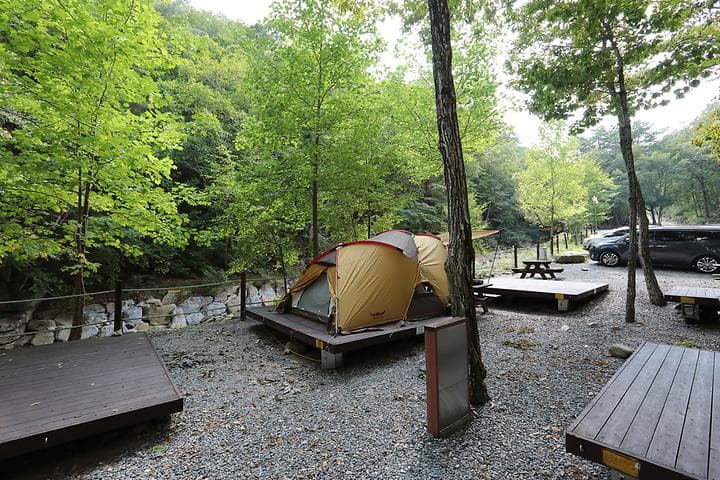 국립황정산자연휴양림캠핑장 캠핑장 · GoCamping 제공
