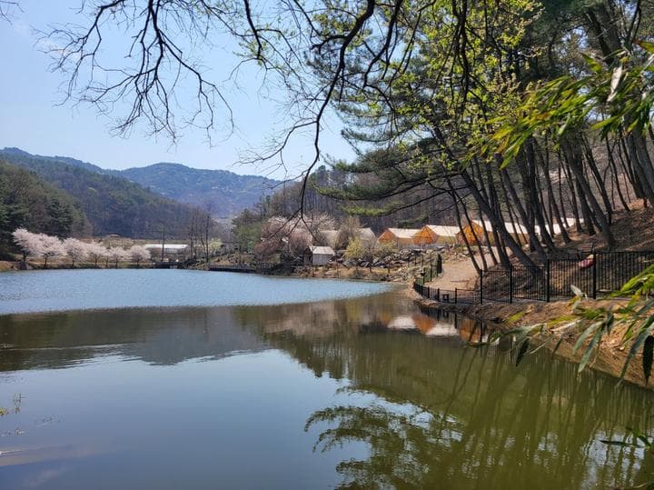 판앤팜 치유정원 캠핑장 · GoCamping 제공