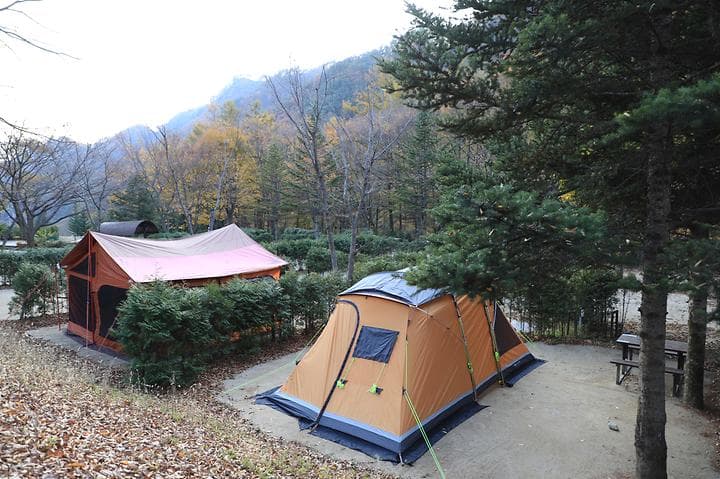 금대자동차야영장(치악산국립공원) 캠핑장 · GoCamping 제공