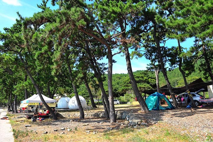 나로힐링캠핑장 캠핑장 · GoCamping 제공