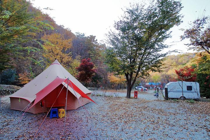 THATS CAMPING 횡성자연휴양림야영장 캠핑장 · GoCamping 제공