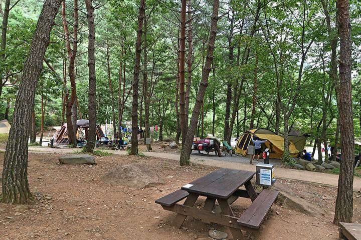 내원야영장 캠핑장 · GoCamping 제공