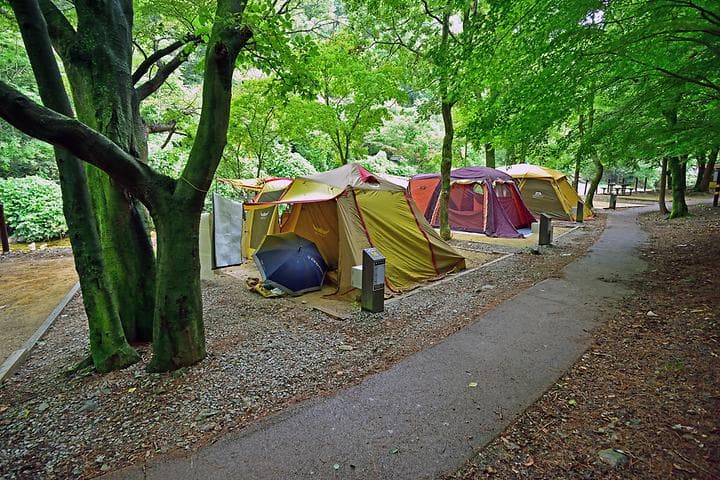내장산국립공원 내장야영장 캠핑장 · GoCamping 제공