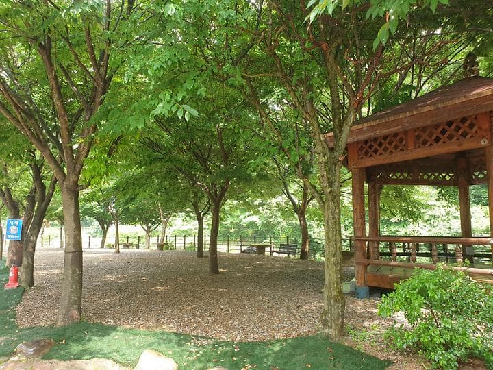 녹색 오토캠핑장 캠핑장 · GoCamping 제공