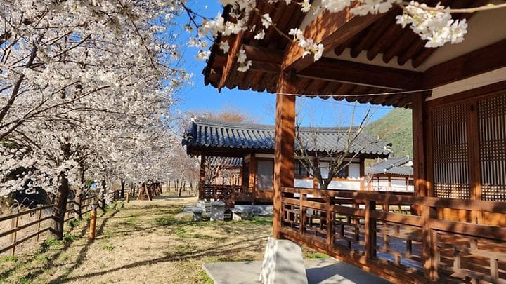 농월정오토캠핑장 캠핑장 · GoCamping 제공