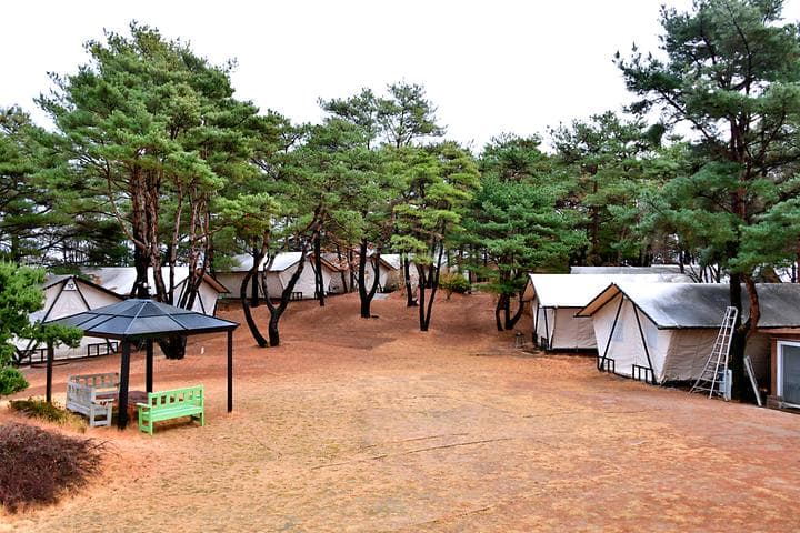 느랭이골 자연휴양림 일반야영장 캠핑장 · GoCamping 제공
