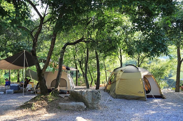 느티나무 캠핑장 캠핑장 · GoCamping 제공