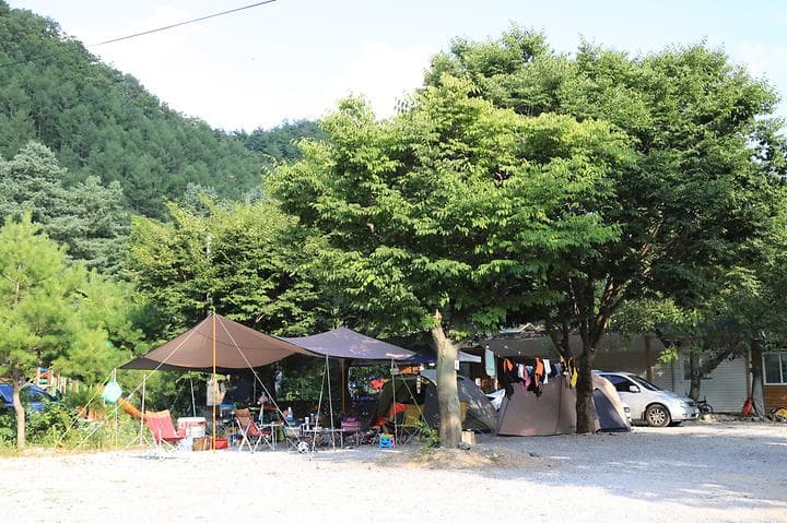 영월계곡 느티별캠핑장 캠핑장 · GoCamping 제공