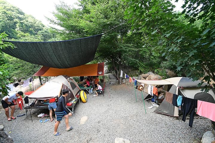 느티나무야영장 캠핑장 · GoCamping 제공