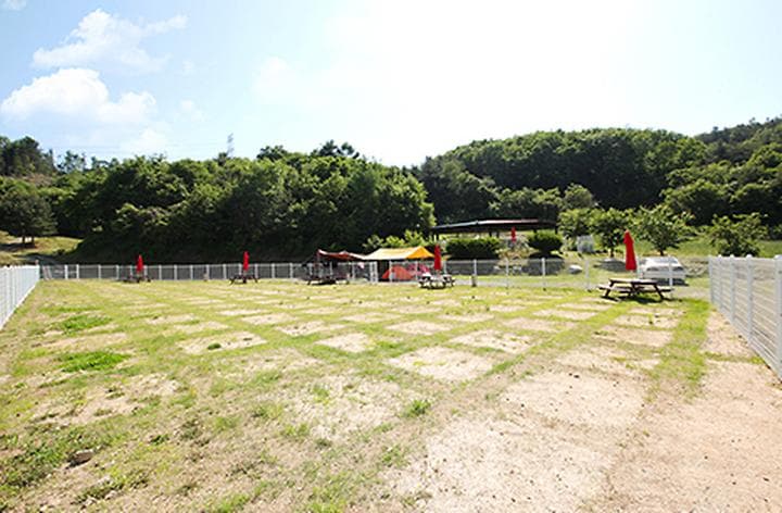 링크독애견파크 글램핑&오토캠핑장 캠핑장 · GoCamping 제공