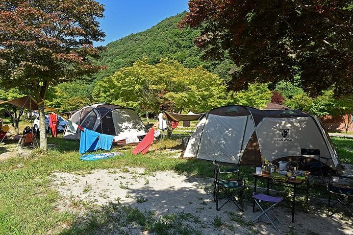 달궁야영장 캠핑장 · GoCamping 제공