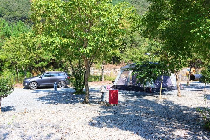 목사골야영장 캠핑장 · GoCamping 제공