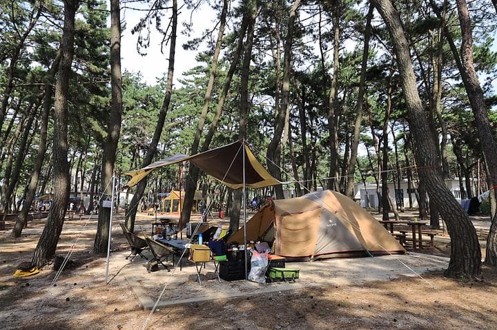 고사포야영장 캠핑장 · GoCamping 제공