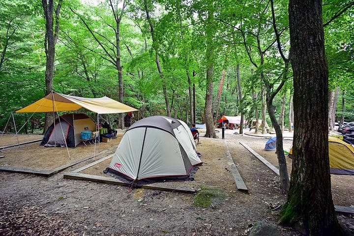 삼정야영장 캠핑장 · GoCamping 제공