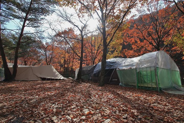 참나무숲 오토캠핑장 캠핑장 · GoCamping 제공