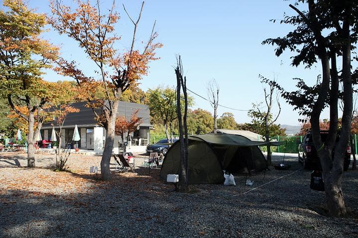 영수야 놀자 캠핑장 · GoCamping 제공