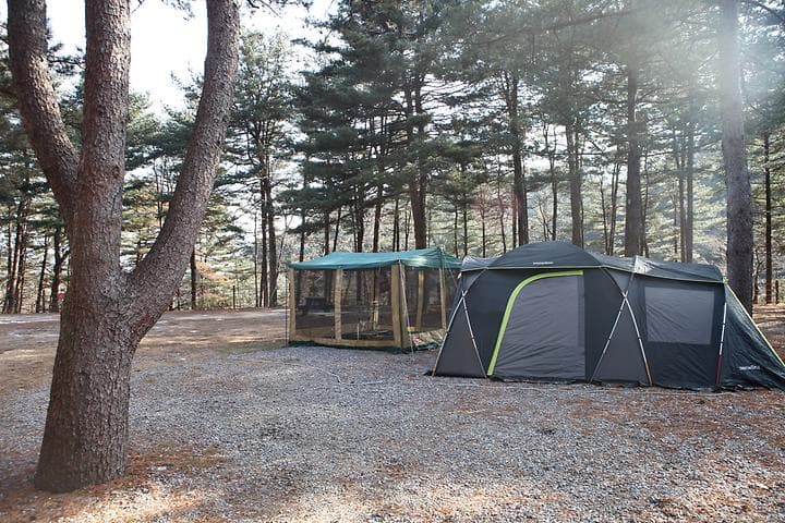 (주)수동자연마을 힐링별밤수목원캠핑장 캠핑장 · GoCamping 제공