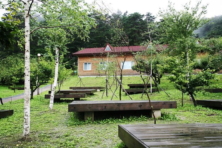 대관령자연휴양림야영장 캠핑장 · GoCamping 제공