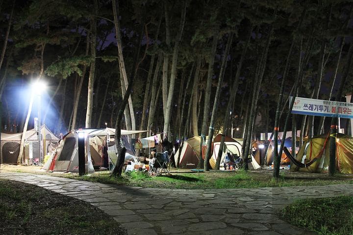 대천해수욕장 야영장 캠핑장 · GoCamping 제공