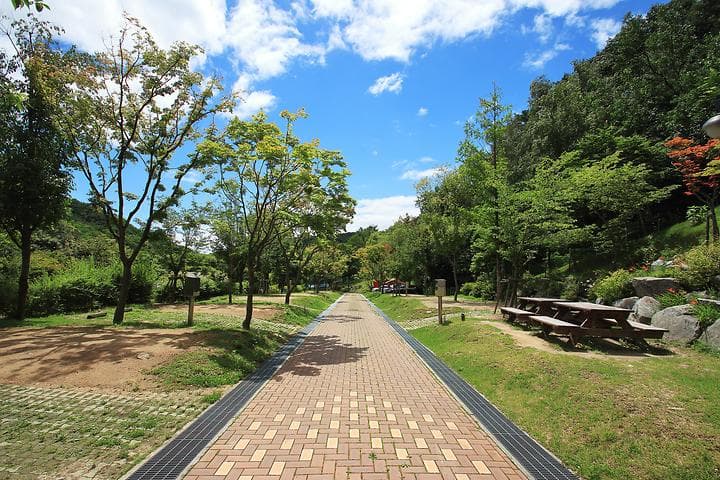 도학야영장 캠핑장 · GoCamping 제공