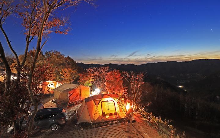 동강전망자연휴양림오토캠핑장 캠핑장 · GoCamping 제공