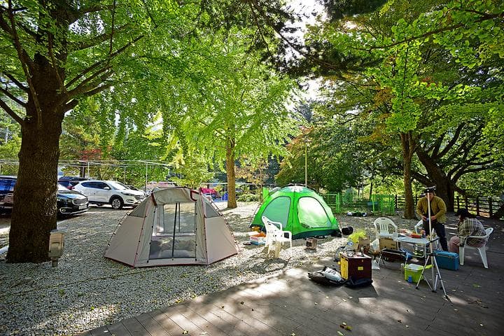 달빛고운 병곡캠핑장 캠핑장 · GoCamping 제공