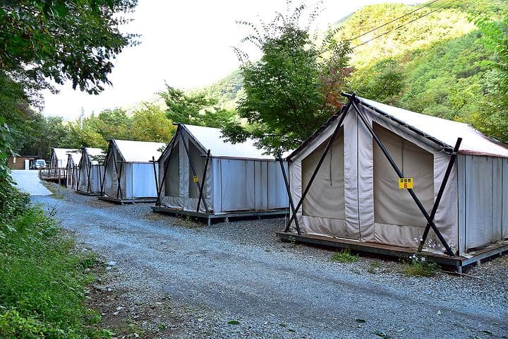 하얀숲 오토&글램핑 캠핑장 · GoCamping 제공