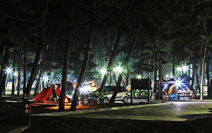 몽산포 자동차 야영장 캠핑장 · GoCamping 제공