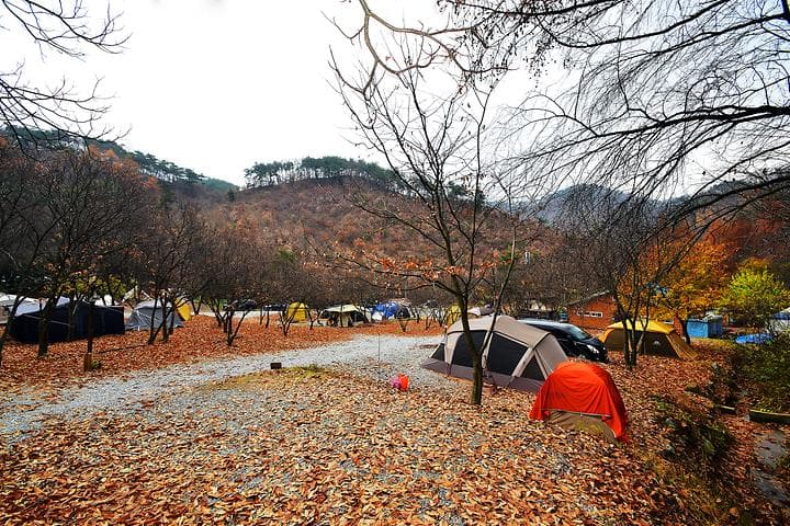 LAFORESTA(라포레스타) 캠핑장 · GoCamping 제공