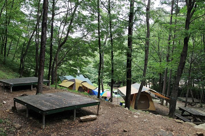 와룡자연휴양림 일반야영장 캠핑장 · GoCamping 제공